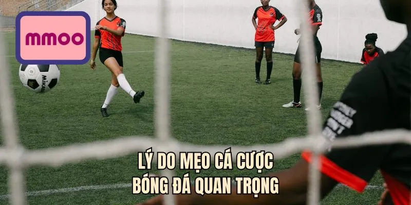 Lý do mẹo cá cược bóng đá quan trọng